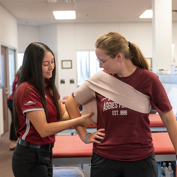 A male and female student work on an anatomically correct digital rendering of the muscles in a human body. 