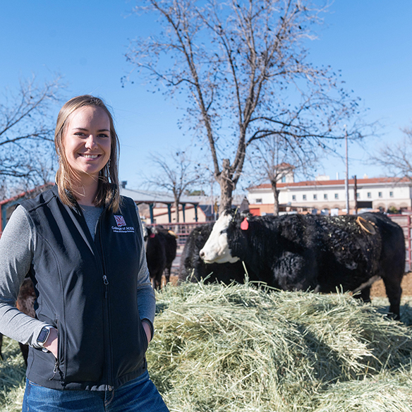 a woman standing in front of cattle 