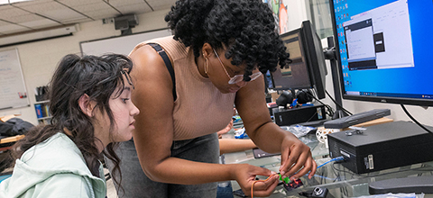 students learning together