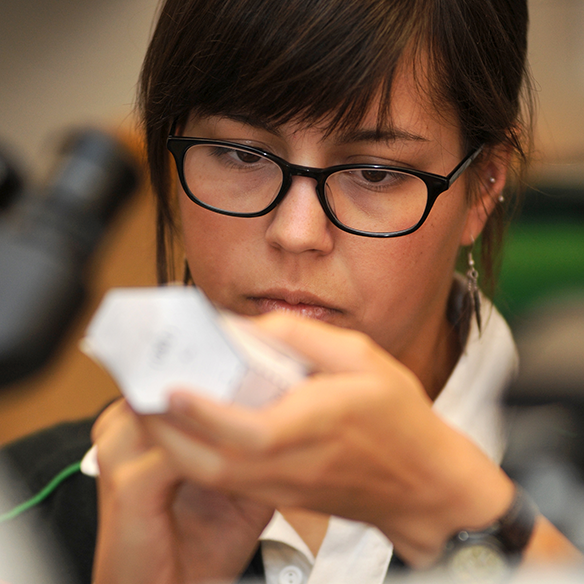 An undergraduate student completes a geology lab assignment inside Gardiner Hall. 