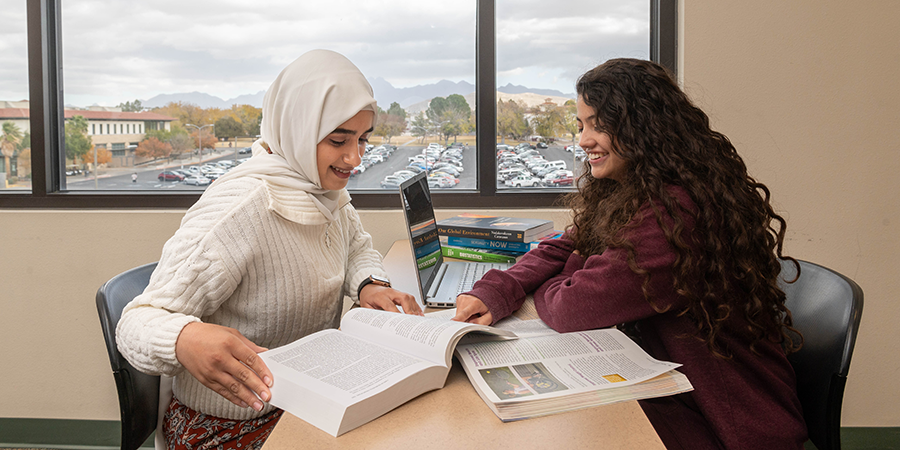 Public health students working together.