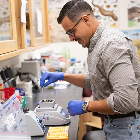 Alejandro Gomez, a senior honors student at NMSU studying wildlife ecology