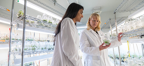 A professor and student stand in a plant lab