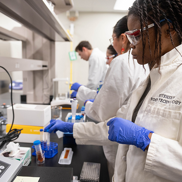 Students working in a food science lab