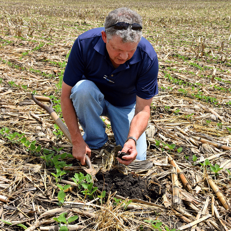 Student overlooking plants being grown in a lab.