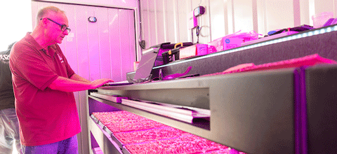 Professor overlooking plants growing in a lab.