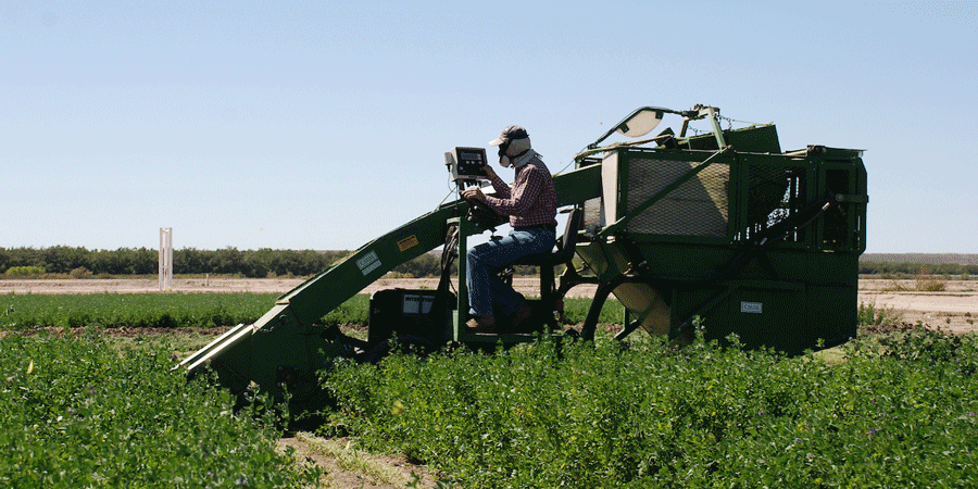 Tractor in field.