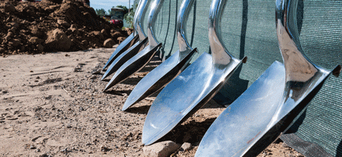 Shovels lined up in a row in the dirt.