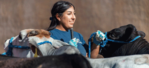Student with livestock.