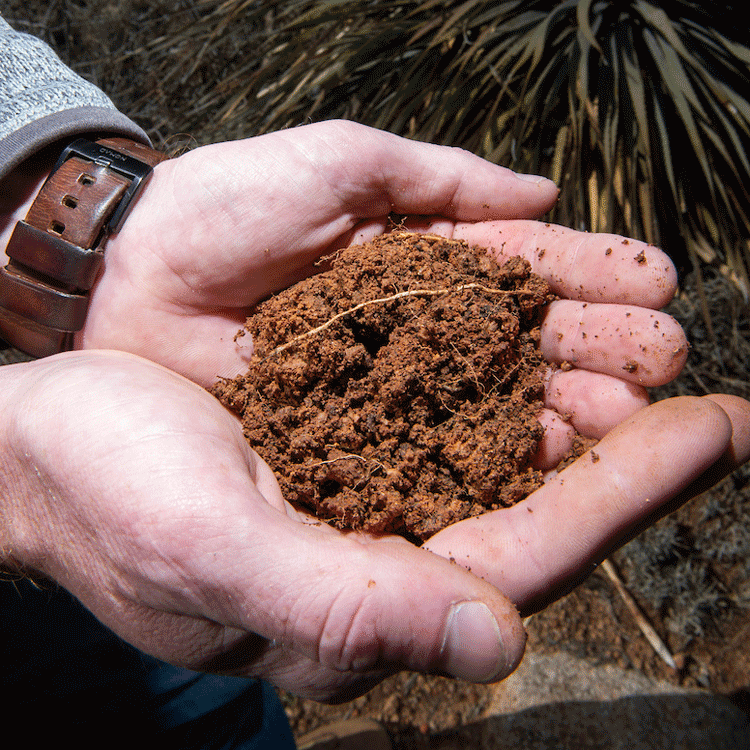 Insect collection cataloged into boxes.