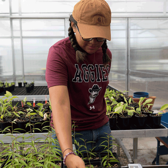 Student viewing plants in a greenhouse.