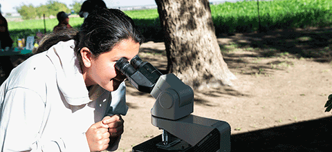 Student viewing through a microscope at a farm.