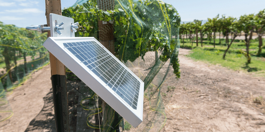 Solar panel at a crop farm.