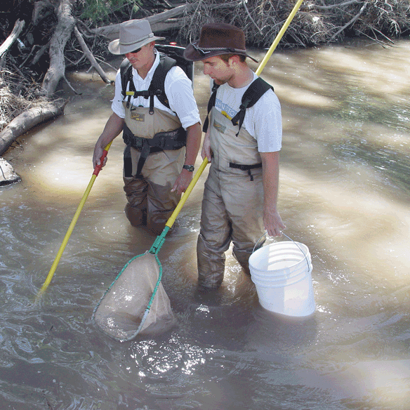 Student in food pantry sorting items.