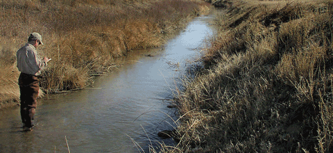 Man testing/fishing in small stream on farmland.
