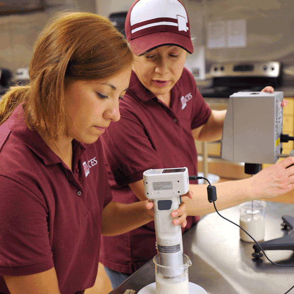 Students in a lab testing food products.