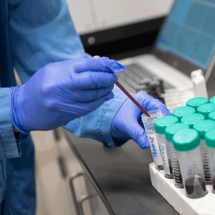 Food packed and sealed in clear plastic bags.