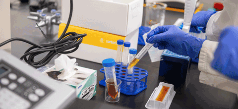 Food samples being tested in a science lab.