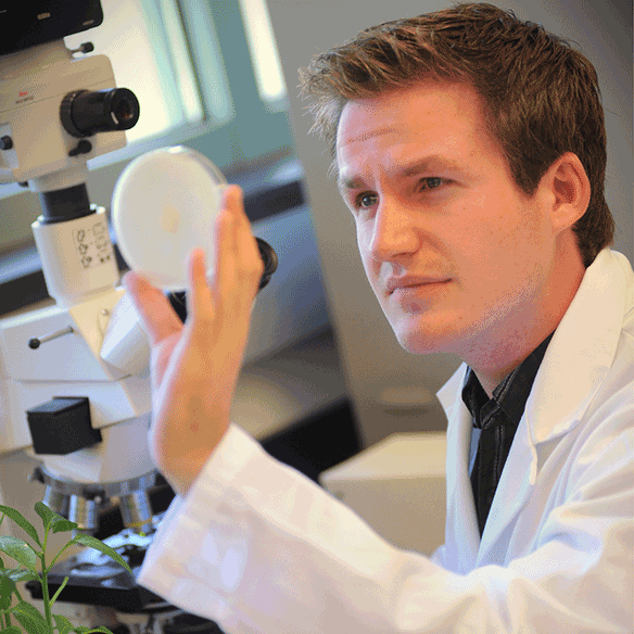 Student viewing sample in a lab.