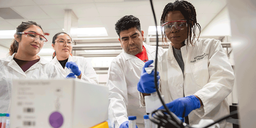 Four students in a lab testing samples.