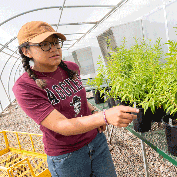 Student selecting plants in a greenhouse.