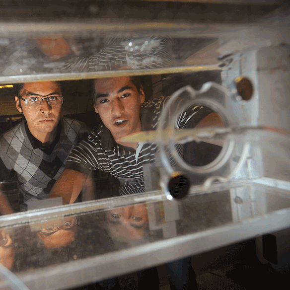 Students observing a test in a water tank.