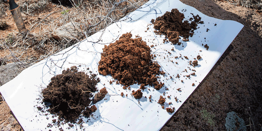 Three different soil samples laying on a white canvas.