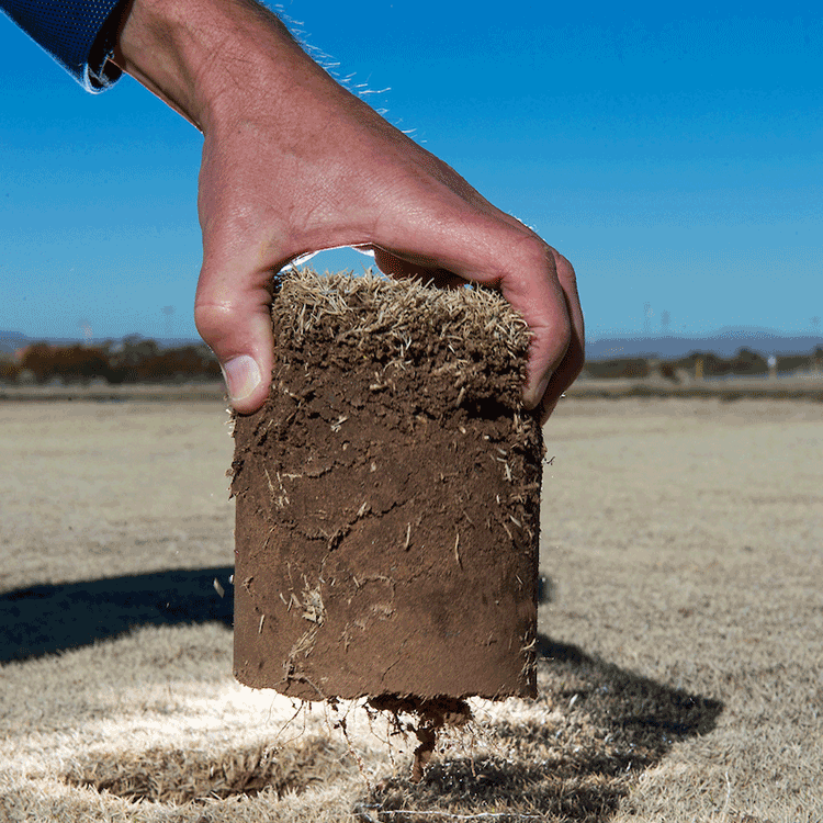 Three different soil samples laying on a white canvas.