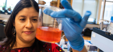 A man sits with a steer in a hay covered field