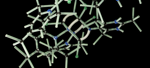 A structural model used in biology