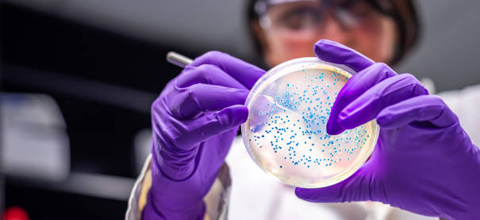 Working with a lab sample.